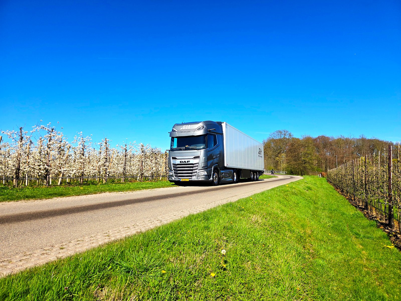 EH Transport DAF XG+ 530 door de bloesemvelden van Lienden in de Betuwe
